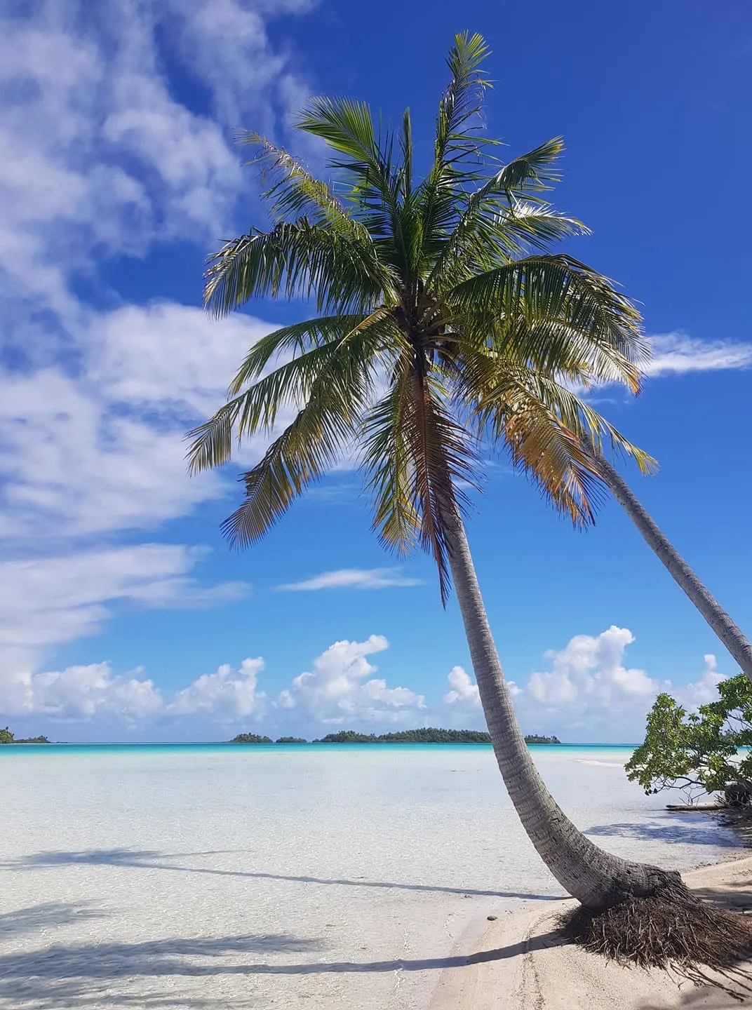 Le lagon de Rangiroa